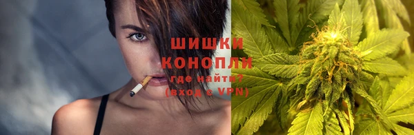 ECSTASY Каменка