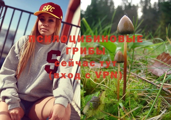 ECSTASY Каменка