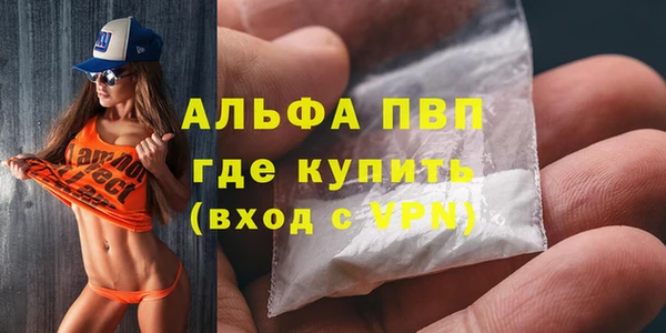 ECSTASY Каменка