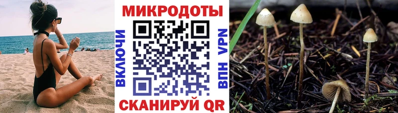 Галлюциногенные грибы MAGIC MUSHROOMS  купить наркоту  Меленки 